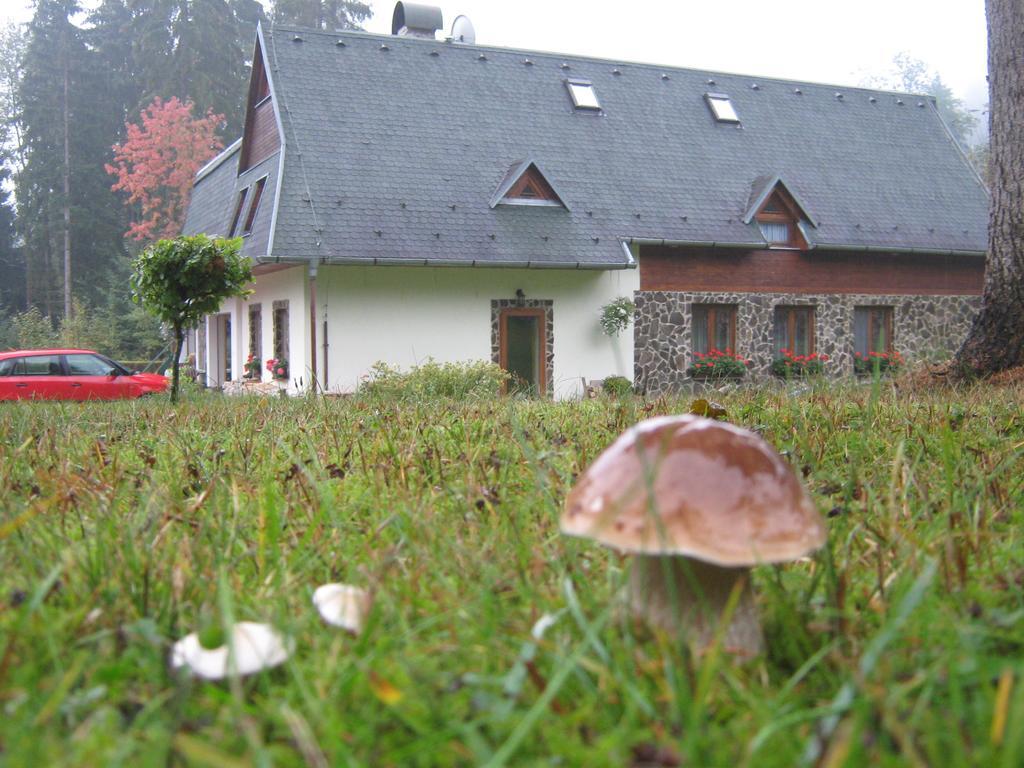 Penzion Pod Dobakom Lazisko Exterior photo
